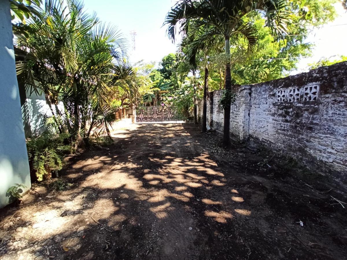 Ometepe House Bed and Breakfast Moyogalpa Εξωτερικό φωτογραφία