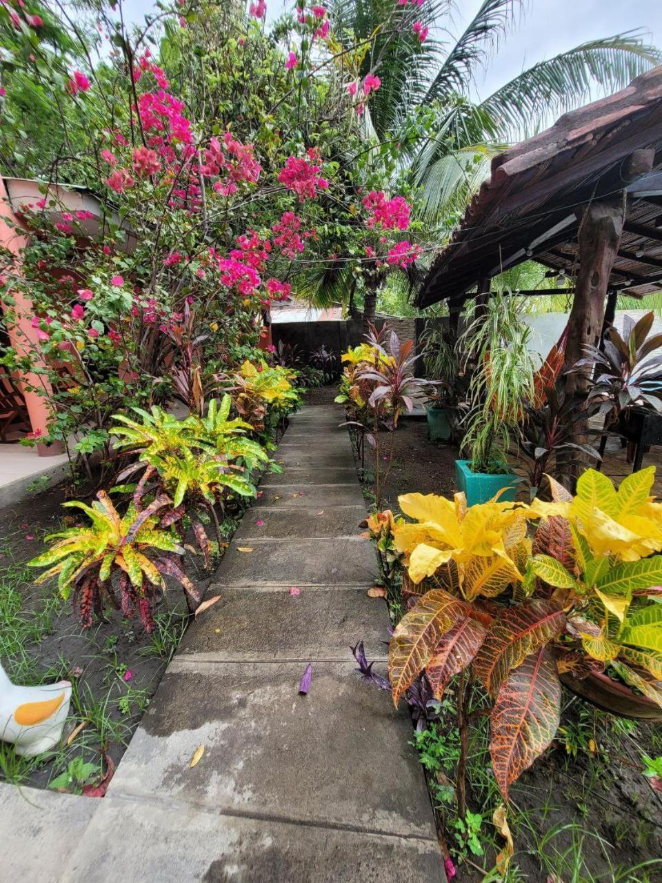 Ometepe House Bed and Breakfast Moyogalpa Εξωτερικό φωτογραφία